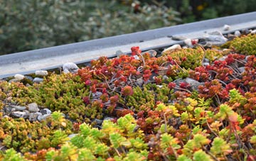 the cost of Piccadilly green roof installation