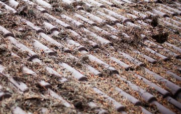 Piccadilly roof cleaning companies