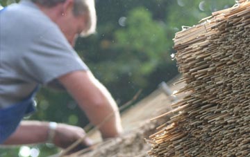 professional Piccadilly thatchers