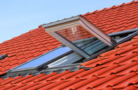 Piccadilly roof window